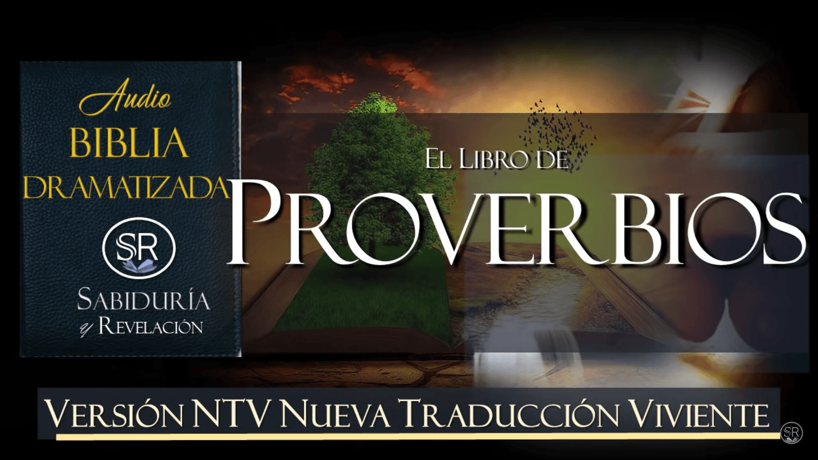 ESCUCHE Y DESCARGUE AQUI EL LIBRO DE PROVERBIOS TRADUCCIÓN NTV